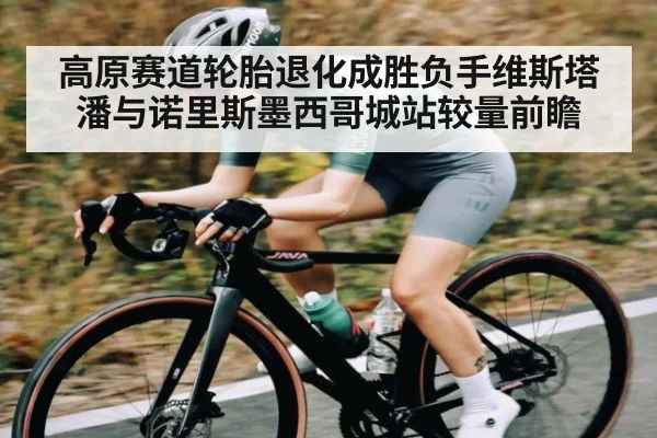 高原赛道轮胎退化成胜负手维斯塔潘与诺里斯墨西哥城站较量前瞻